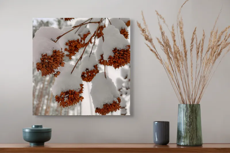 Tablou Canvas, "Florile iernii înveșmântate în zăpadă", Zăpadă, Contrast, Natură, Flori, Iarnă, Crengi, Frumusețe, Răceală, Îngheț, Alb, 50 x 50 cm – poza 4