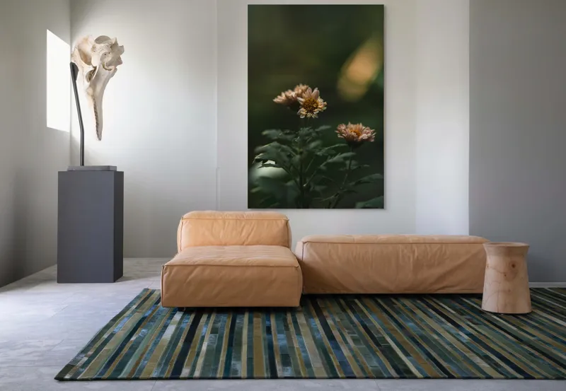 Tablou Canvas, "Tandrețea florilor la apus", Flori, Frunze, Natură, Seninătate, Blândețe, Lumini, Umbre, Verde, Petale, Înfloresc, Calm, Estetică, Delicat, Fragilitate, Armonie., 100 x 150 cm – poza 7