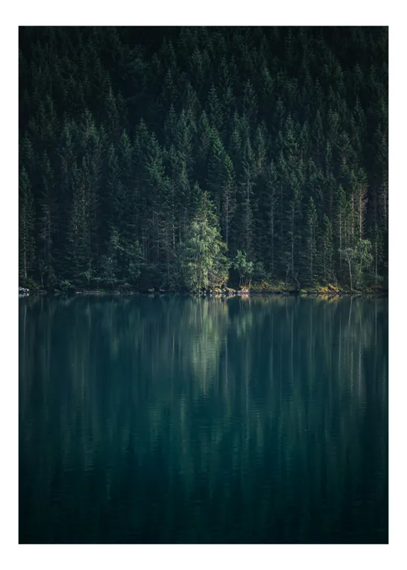Tablou Canvas Reflecția Codrilor în Apă Liniștită Calm Serenity Nature, 70 x 100 cm
