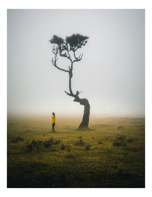 Tablou Canvas, "Solitudine în ceața dimineții", Ceață, Singurătate, Pădure, Copac, Om, Măreție, Peisaj, Mister, Liniște, Contemplare, 39 x 54 cm