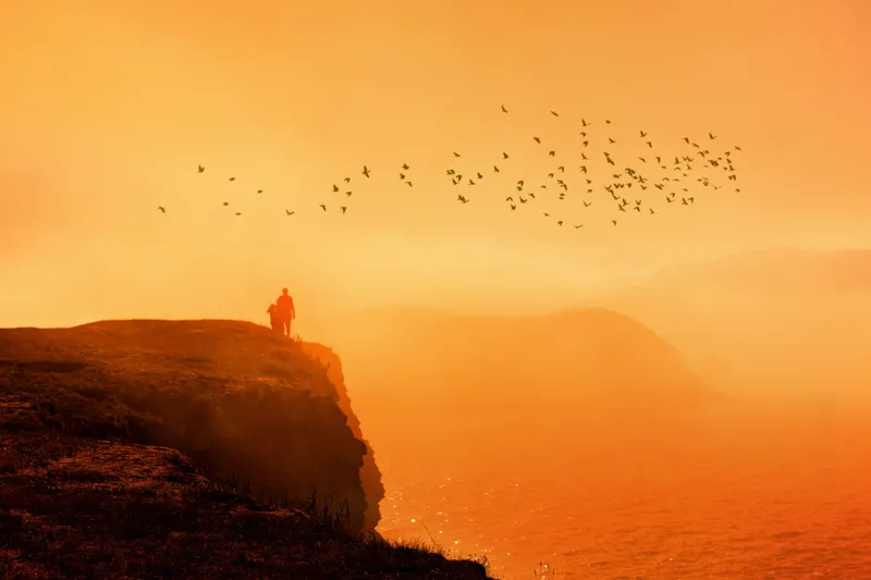 Tablou Canvas, "Omul și zborul păsărilor la apus", Mister, Lumină, Păsări, Apus, Siluetă, Ocean, Dramatic, Calm, Peisaj, 150 x 100 cm – poza 2