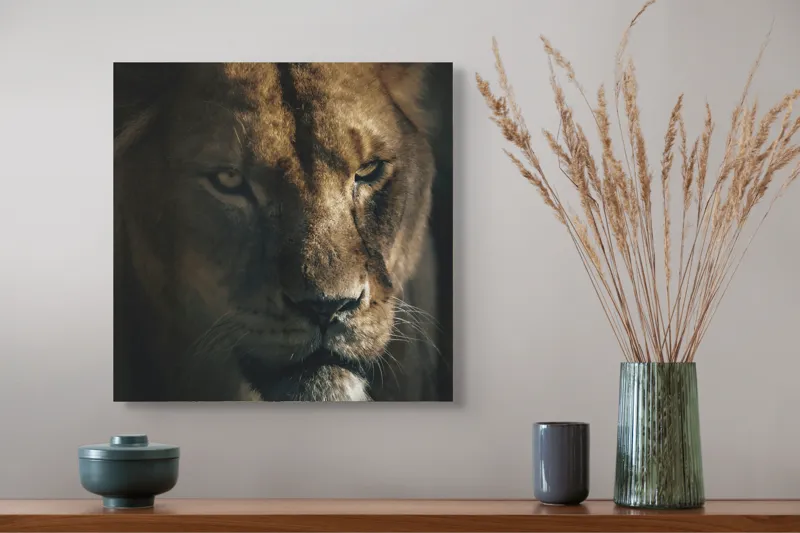 Tablou Canvas, "Regina tainică a savanei africane", 50 x 50 cm – poza 4