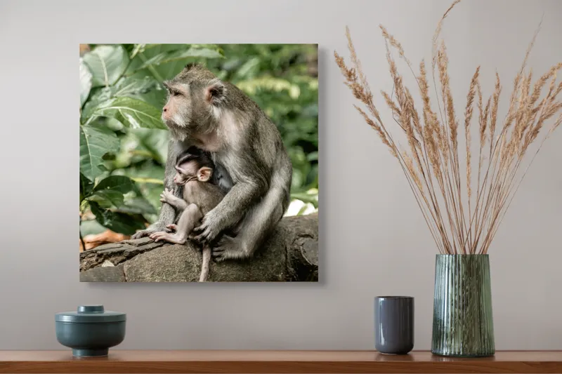 Tablou Canvas, "Maimuță cu pui odihnindu-se în natură", Maimuță, Pui, Natură, Copac, Afecțiune, Frunziș, Protecție, Familie, 50 x 50 cm – poza 4