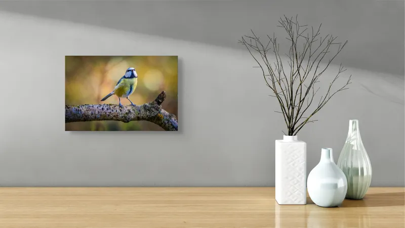 Tablou Canvas, "Peripețiile unei piți galbene curajoase", Pasăre, Creangă, Pene, Natură, Bokeh, Culori, Calm, Echilibru, Frumusețe, Detaliu, 39 x 26 cm – poza 8
