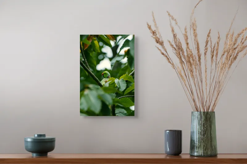 Tablou Canvas, "Papagal verde ascuns printre frunze", Papagal, Frunze, Verde, Ramură, Păsăre, Natură, Frunziș, Contrast, Lumină, Ascuns, 26 x 39 cm – poza 5