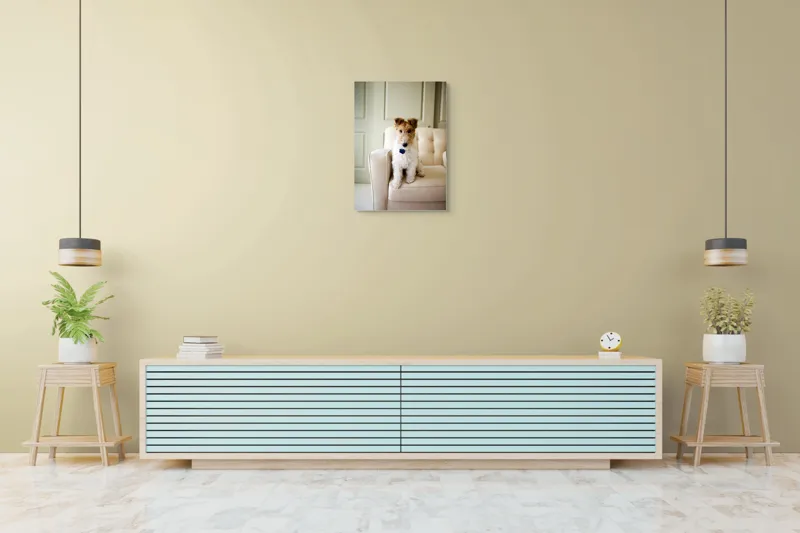 Tablou Canvas, "Câinele curajos pe fotoliu bej", Câine, Scaun, Blană, Urechi, Ochi, Fundal, Luminos, Mobilier, Drăgălaș, Încăpere, 50 x 70 cm – poza 6