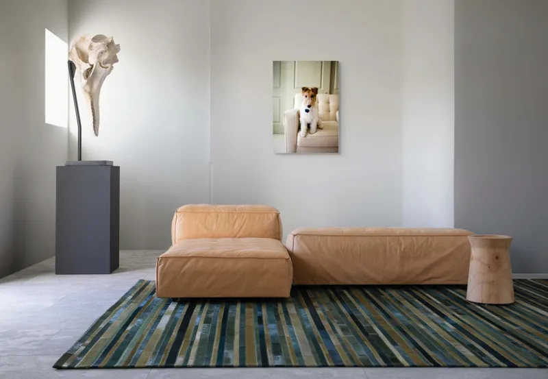 Tablou Canvas, "Câinele curajos pe fotoliu bej", Câine, Scaun, Blană, Urechi, Ochi, Fundal, Luminos, Mobilier, Drăgălaș, Încăpere, 50 x 70 cm – poza 7