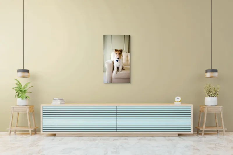 Tablou Canvas, "Câinele curajos pe fotoliu bej", Câine, Scaun, Blană, Urechi, Ochi, Fundal, Luminos, Mobilier, Drăgălaș, Încăpere, 50 x 90 cm – poza 6