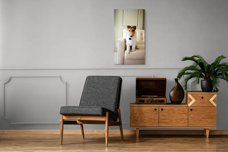 Tablou Canvas, "Câinele curajos pe fotoliu bej", Câine, Scaun, Blană, Urechi, Ochi, Fundal, Luminos, Mobilier, Drăgălaș, Încăpere, 50 x 90 cm – poza 8