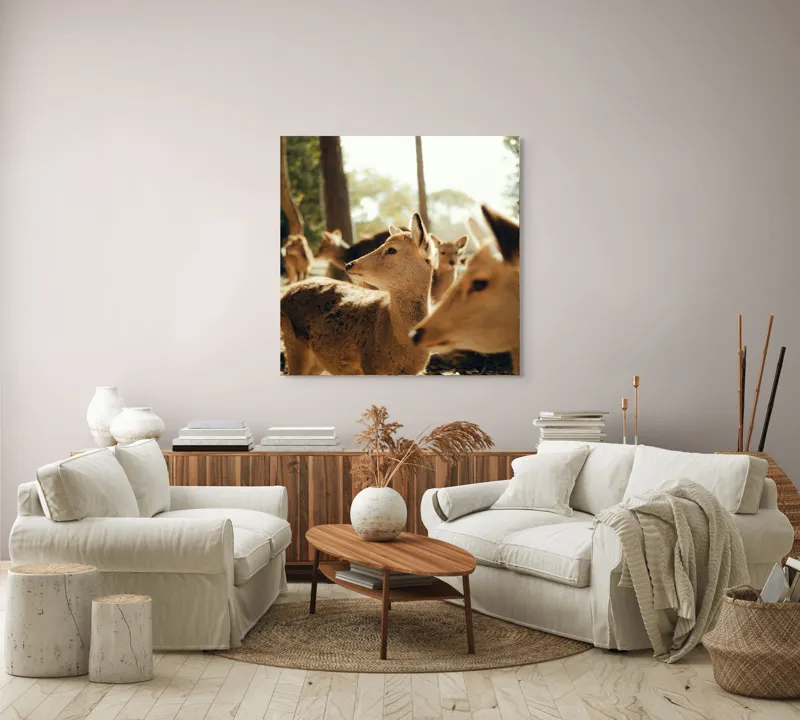 Tablou Canvas, "Cerbi în lumina dimineții pădurii", Cerbi, Pădure, Lumină, Natură, Frunziș, Sălbăticie, Serenitate, 100 x 100 cm – poza 3