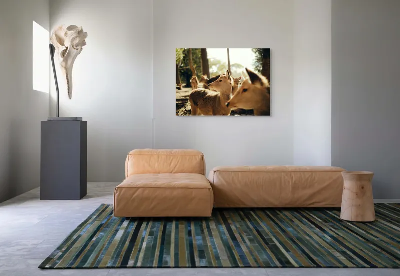 Tablou Canvas, "Cerbi în lumina dimineții pădurii", Cerbi, Pădure, Lumină, Natură, Frunziș, Sălbăticie, Serenitate, 100 x 70 cm – poza 7
