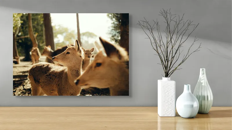 Tablou Canvas, "Cerbi în lumina dimineții pădurii", Cerbi, Pădure, Lumină, Natură, Frunziș, Sălbăticie, Serenitate, 70 x 50 cm – poza 3