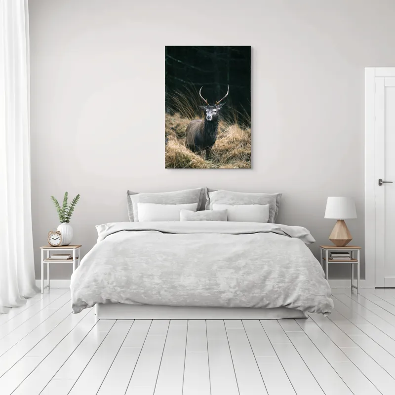 Tablou Canvas, "Cerbul singuratic în luminișul pădurii", Cerb, Pădure, Iarbă, Toamnă, Sălbăticie, Natură, Corn, Eleganță, Frumusețe, 70 x 100 cm – poza 3