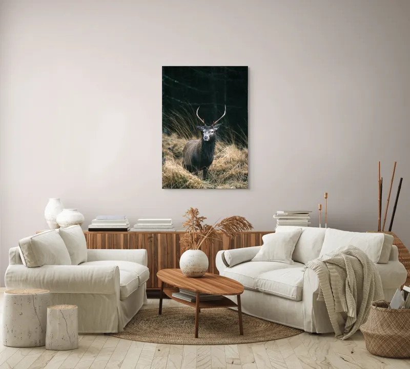 Tablou Canvas, "Cerbul singuratic în luminișul pădurii", Cerb, Pădure, Iarbă, Toamnă, Sălbăticie, Natură, Corn, Eleganță, Frumusețe, 70 x 100 cm – poza 4
