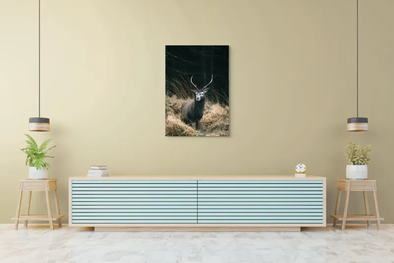 Tablou Canvas, "Cerbul singuratic în luminișul pădurii", Cerb, Pădure, Iarbă, Toamnă, Sălbăticie, Natură, Corn, Eleganță, Frumusețe, 70 x 100 cm – poza 5