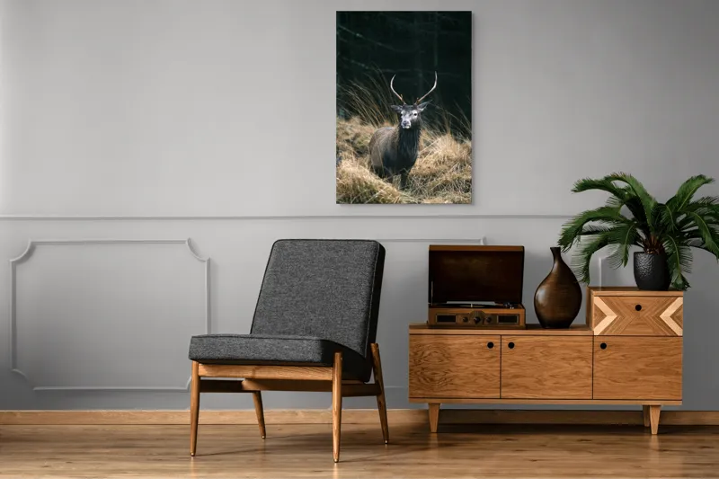 Tablou Canvas, "Cerbul singuratic în luminișul pădurii", Cerb, Pădure, Iarbă, Toamnă, Sălbăticie, Natură, Corn, Eleganță, Frumusețe, 70 x 100 cm – poza 6