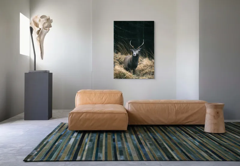 Tablou Canvas, "Cerbul singuratic în luminișul pădurii", Cerb, Pădure, Iarbă, Toamnă, Sălbăticie, Natură, Corn, Eleganță, Frumusețe, 70 x 100 cm – poza 7