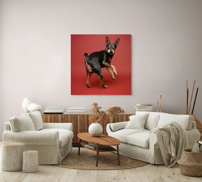 Tablou Canvas, "Cățel curios în decor roșu", 100 x 100 cm – poza 3