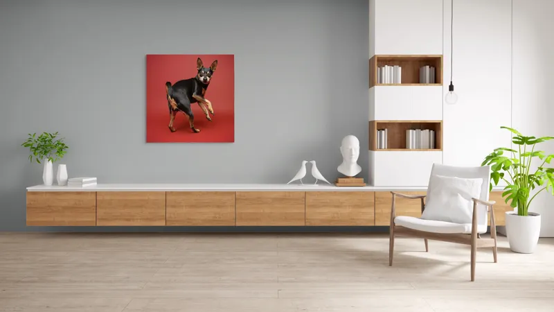 Tablou Canvas, "Cățel curios în decor roșu", 100 x 100 cm – poza 8