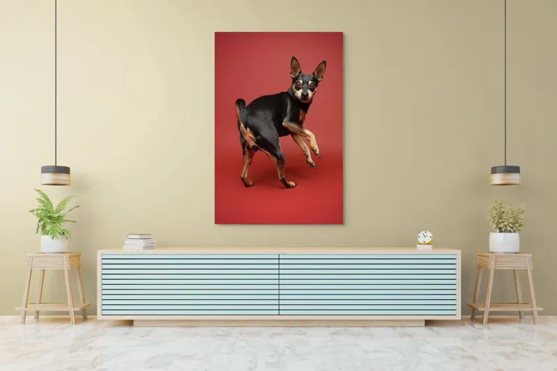 Tablou Canvas, "Cățel curios în decor roșu", 100 x 150 cm – poza 4