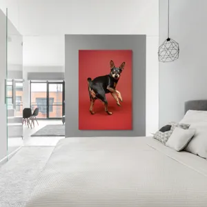 Tablou Canvas, "Cățel curios în decor roșu", 100 x 150 cm – poza 5