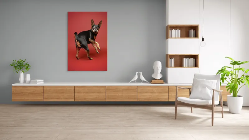 Tablou Canvas, "Cățel curios în decor roșu", 100 x 150 cm – poza 8