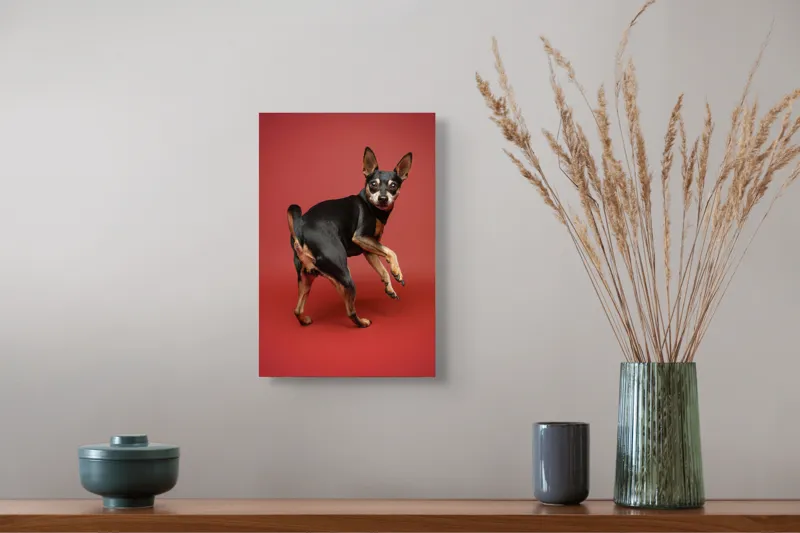 Tablou Canvas, "Cățel curios în decor roșu", 26 x 39 cm – poza 5