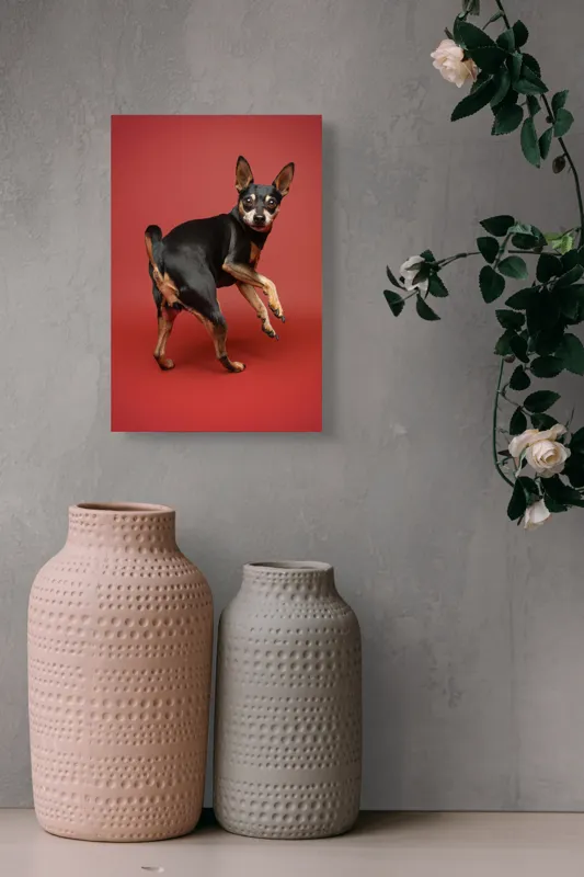 Tablou Canvas, "Cățel curios în decor roșu", 26 x 39 cm – poza 6