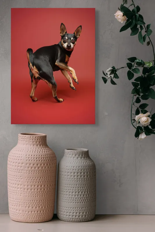 Tablou Canvas, "Cățel curios în decor roșu", 39 x 54 cm – poza 6