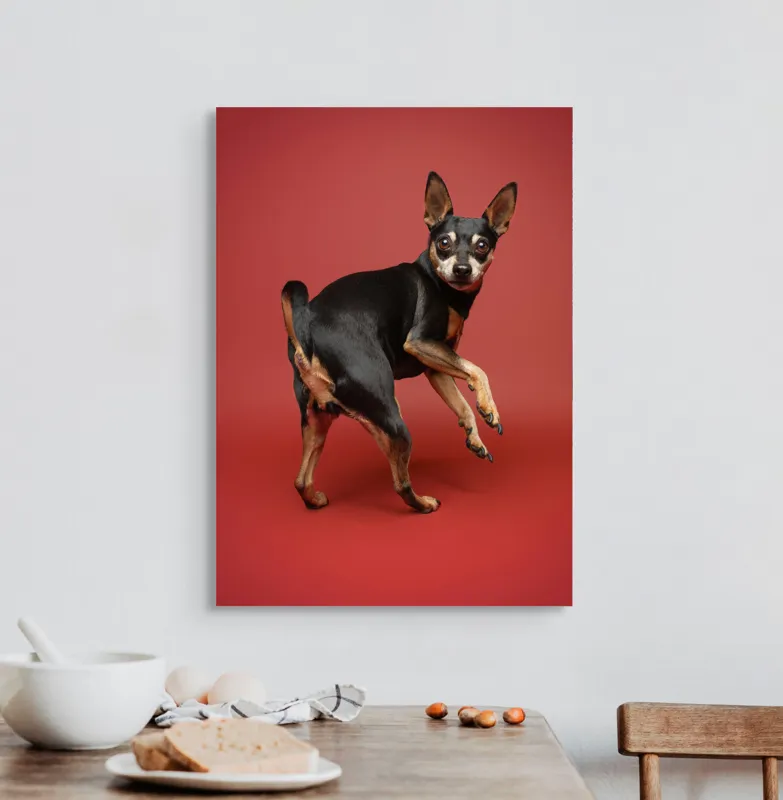 Tablou Canvas, "Cățel curios în decor roșu", 50 x 70 cm – poza 3
