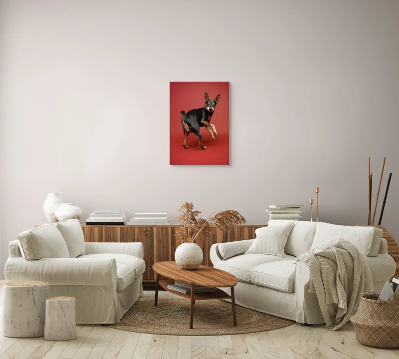 Tablou Canvas, "Cățel curios în decor roșu", 50 x 70 cm – poza 4