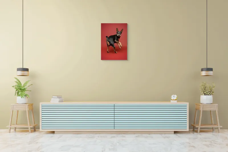 Tablou Canvas, "Cățel curios în decor roșu", 50 x 70 cm – poza 6
