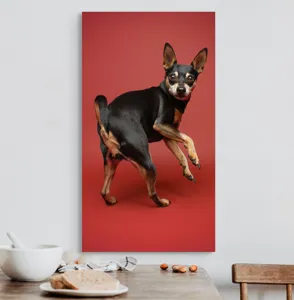 Tablou Canvas, "Cățel curios în decor roșu", 50 x 90 cm – poza 3