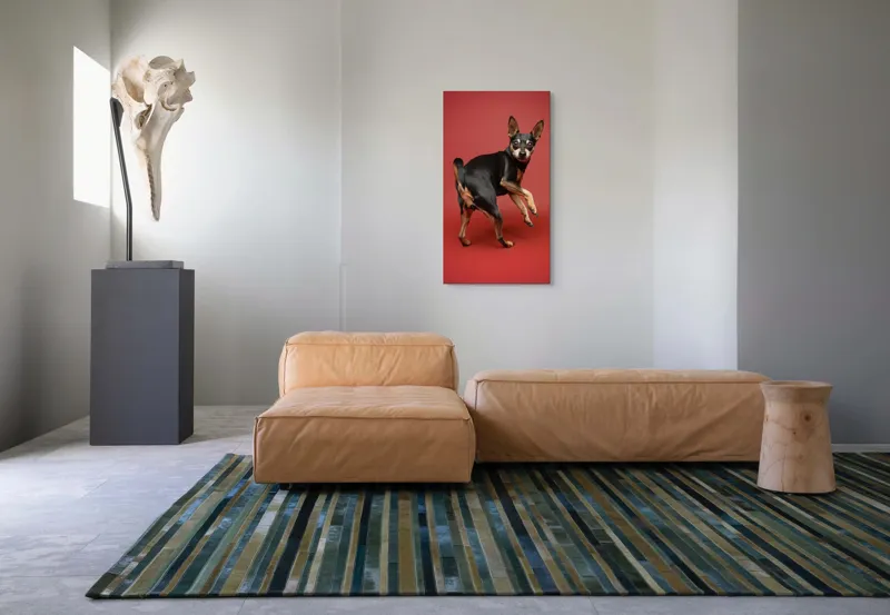 Tablou Canvas, "Cățel curios în decor roșu", 50 x 90 cm – poza 5