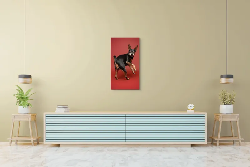 Tablou Canvas, "Cățel curios în decor roșu", 50 x 90 cm – poza 6