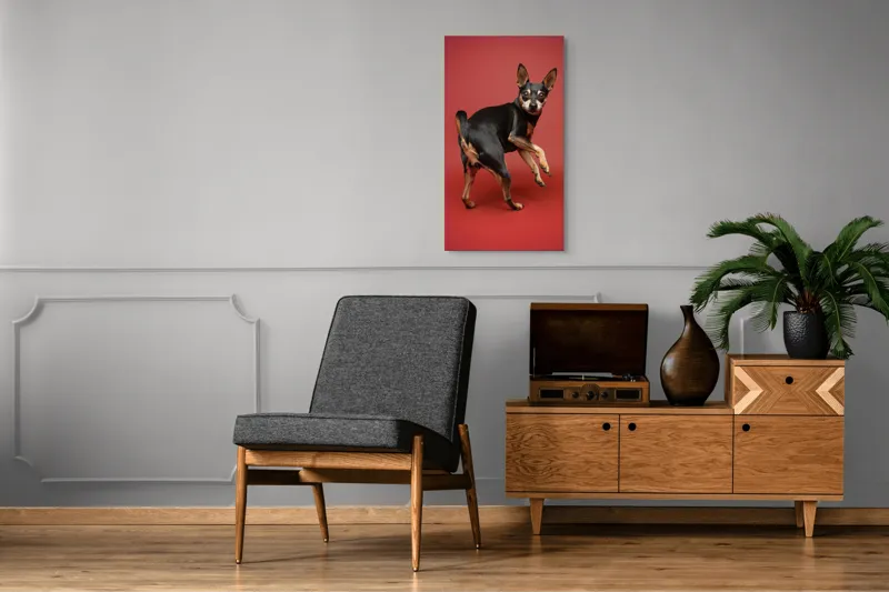 Tablou Canvas, "Cățel curios în decor roșu", 50 x 90 cm – poza 8