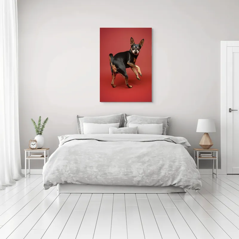 Tablou Canvas, "Cățel curios în decor roșu", 70 x 100 cm – poza 3