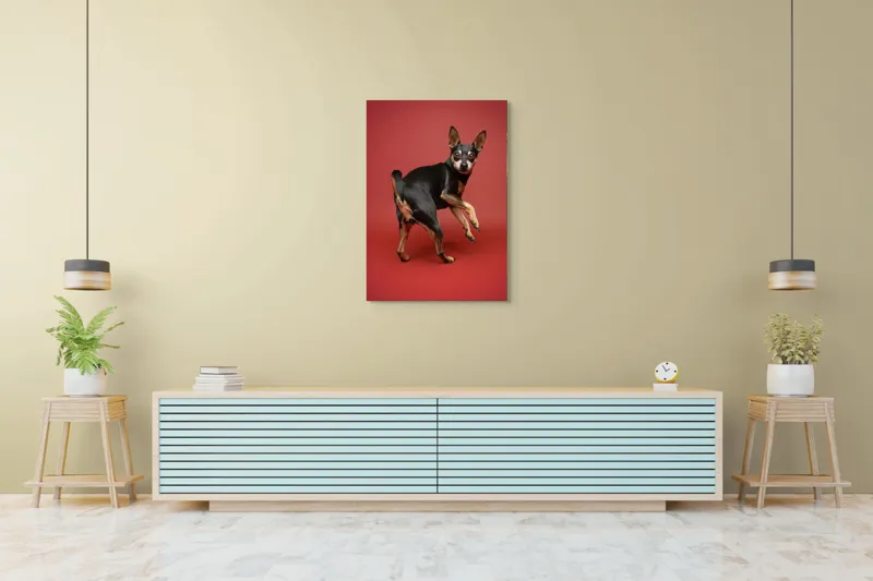 Tablou Canvas, "Cățel curios în decor roșu", 70 x 100 cm – poza 5