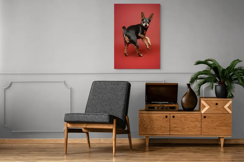 Tablou Canvas, "Cățel curios în decor roșu", 70 x 100 cm – poza 6