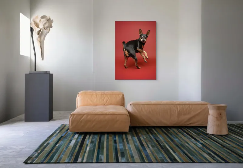 Tablou Canvas, "Cățel curios în decor roșu", 70 x 100 cm – poza 7