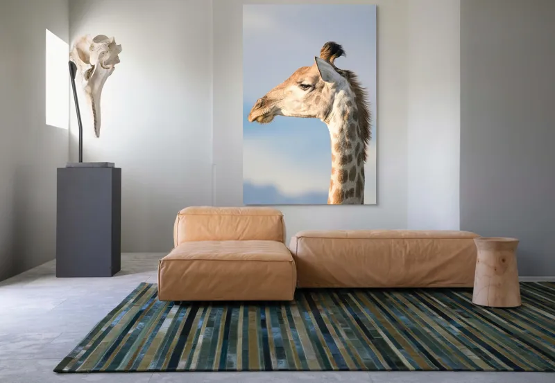 Tablou Canvas, Giraffe, Serengeti, Graceful, Majestic, Spotted, Elegant, Sky, Wildlife, 100 x 150 cm – poza 7