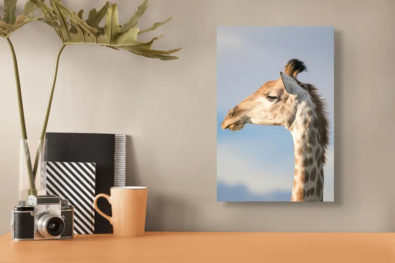 Tablou Canvas, Giraffe, Serengeti, Graceful, Majestic, Spotted, Elegant, Sky, Wildlife, 26 x 39 cm – poza 3