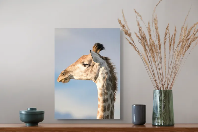 Tablou Canvas, Giraffe, Serengeti, Graceful, Majestic, Spotted, Elegant, Sky, Wildlife, 39 x 54 cm – poza 3