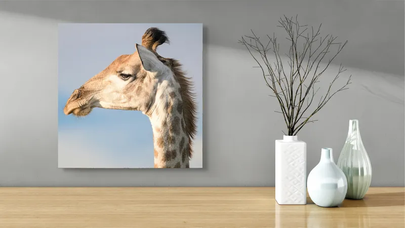 Tablou Canvas, Giraffe, Serengeti, Graceful, Majestic, Spotted, Elegant, Sky, Wildlife, 50 x 50 cm – poza 3