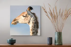 Tablou Canvas, Giraffe, Serengeti, Graceful, Majestic, Spotted, Elegant, Sky, Wildlife, 50 x 50 cm – poza 4