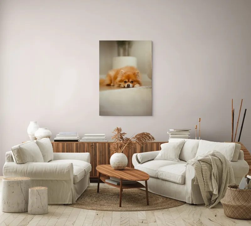 Tablou Canvas, "Cățel toropit de somnul după-amiezii", Blană, Pufos, Odihnă, Podea, Adorabil, Relaxare, Căldură, 70 x 100 cm – poza 4