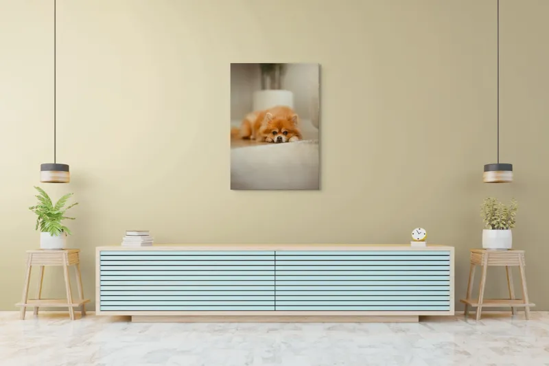 Tablou Canvas, "Cățel toropit de somnul după-amiezii", Blană, Pufos, Odihnă, Podea, Adorabil, Relaxare, Căldură, 70 x 100 cm – poza 5