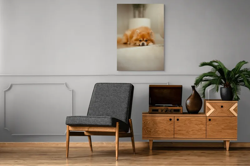 Tablou Canvas, "Cățel toropit de somnul după-amiezii", Blană, Pufos, Odihnă, Podea, Adorabil, Relaxare, Căldură, 70 x 100 cm – poza 6