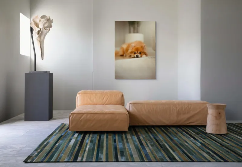 Tablou Canvas, "Cățel toropit de somnul după-amiezii", Blană, Pufos, Odihnă, Podea, Adorabil, Relaxare, Căldură, 70 x 100 cm – poza 7