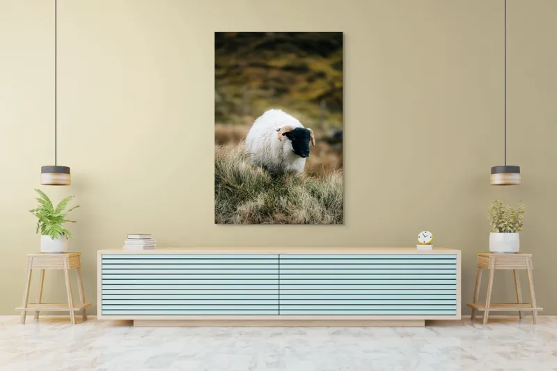 Tablou Canvas, "Oaia singuratică pe deal verde", Oaie, Blană, Coarne, Pajiște, Natură, Verde, Calm, Peisaj, 100 x 150 cm – poza 4